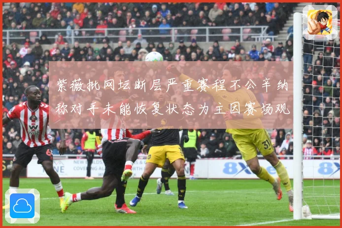 紫薇批网坛断层严重赛程不公辛纳称对手未能恢复状态为主因赛场观察-深度解析