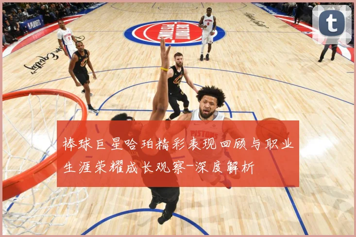 棒球巨星哈珀精彩表现回顾与职业生涯荣耀成长观察-深度解析