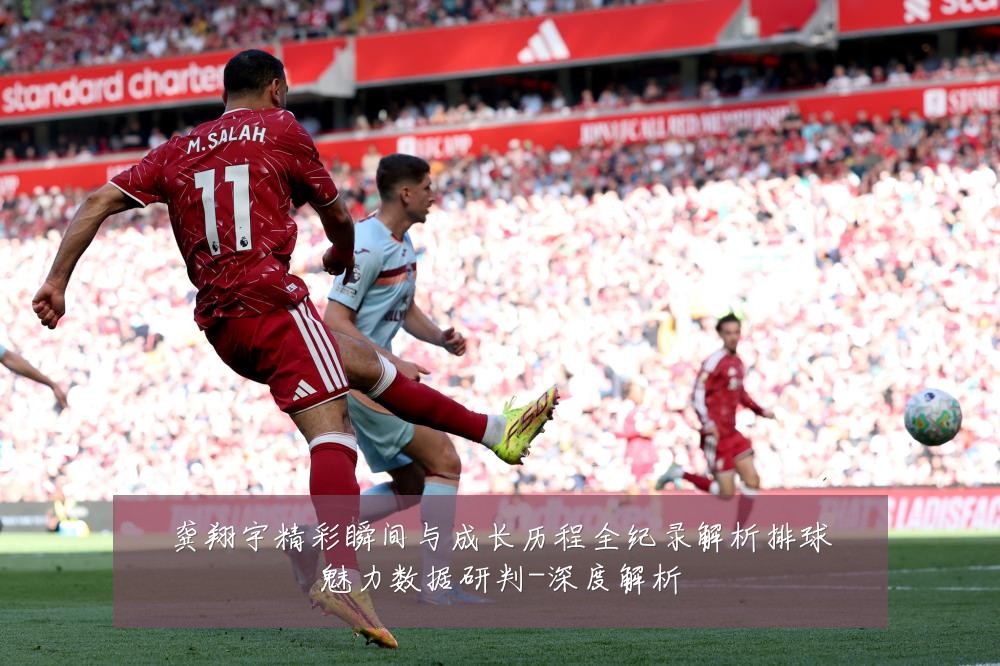 龚翔宇精彩瞬间与成长历程全纪录解析排球魅力数据研判-深度解析