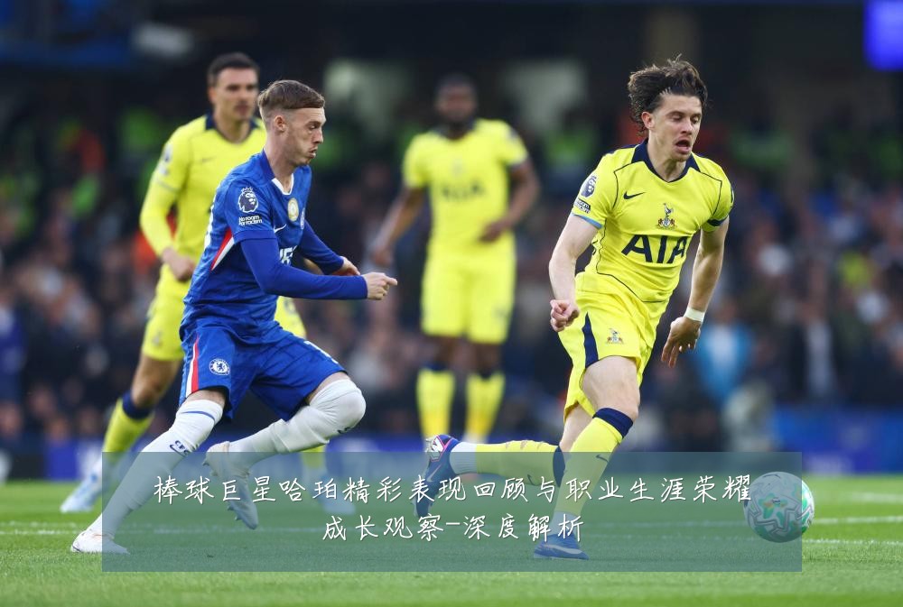 棒球巨星哈珀精彩表现回顾与职业生涯荣耀成长观察-深度解析